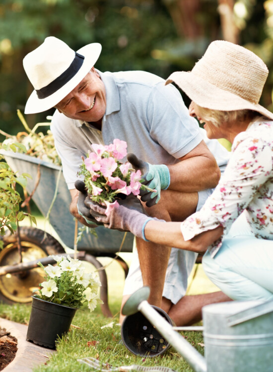 two seniors smile while planting flowers in a garden