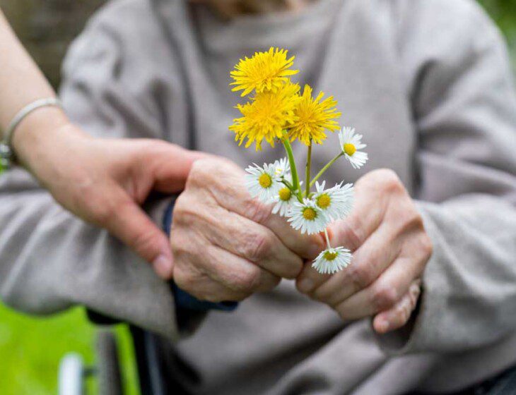 close up of senior in wheelchair holding bright yellow wildflowers, with their caregiver nearby